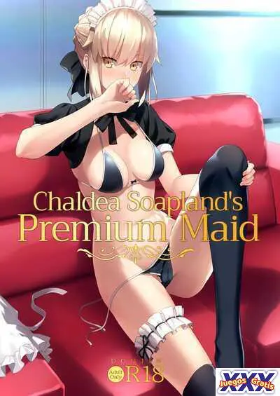Chaldea Soap SSS-kyuu Gohoushi Maid