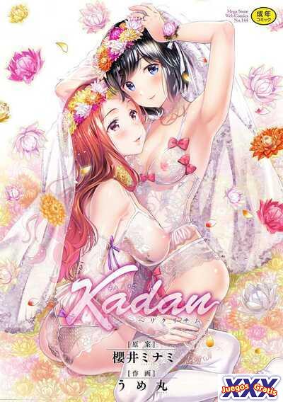 Kadan -Helichrysum-
