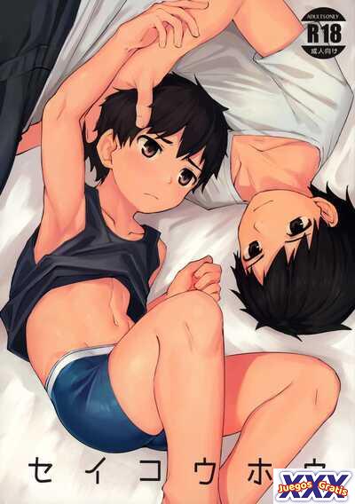 Seikouhou