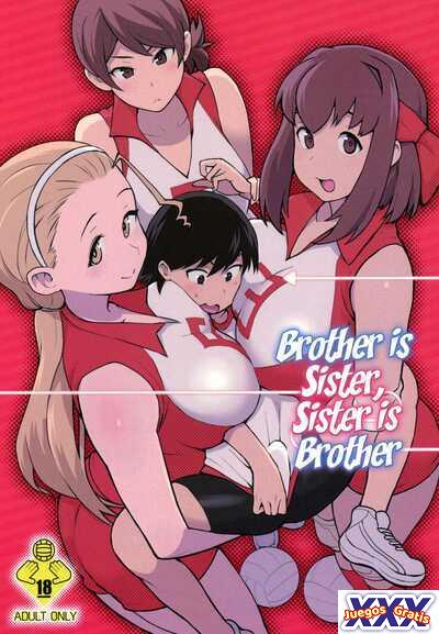 Ani ga Watashi de Watashi ga Ani de