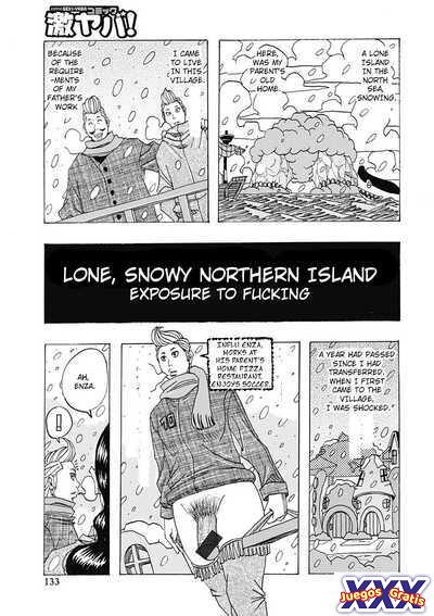 Lone, Snowy Northern Island
