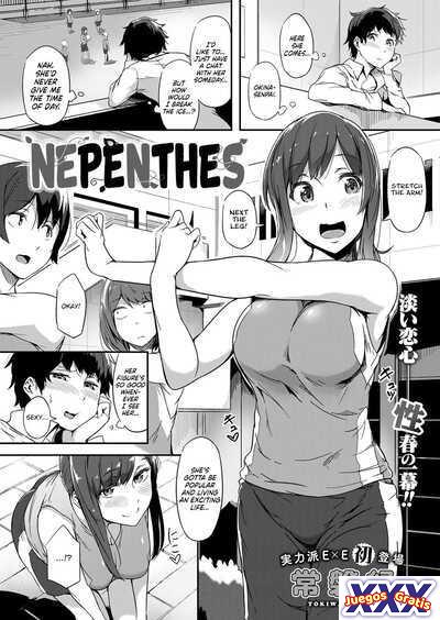 Nepenthes