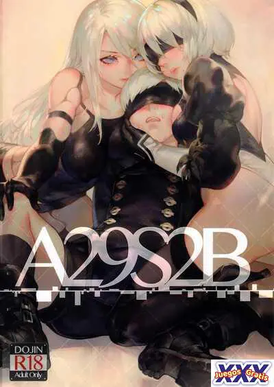 A29S2B